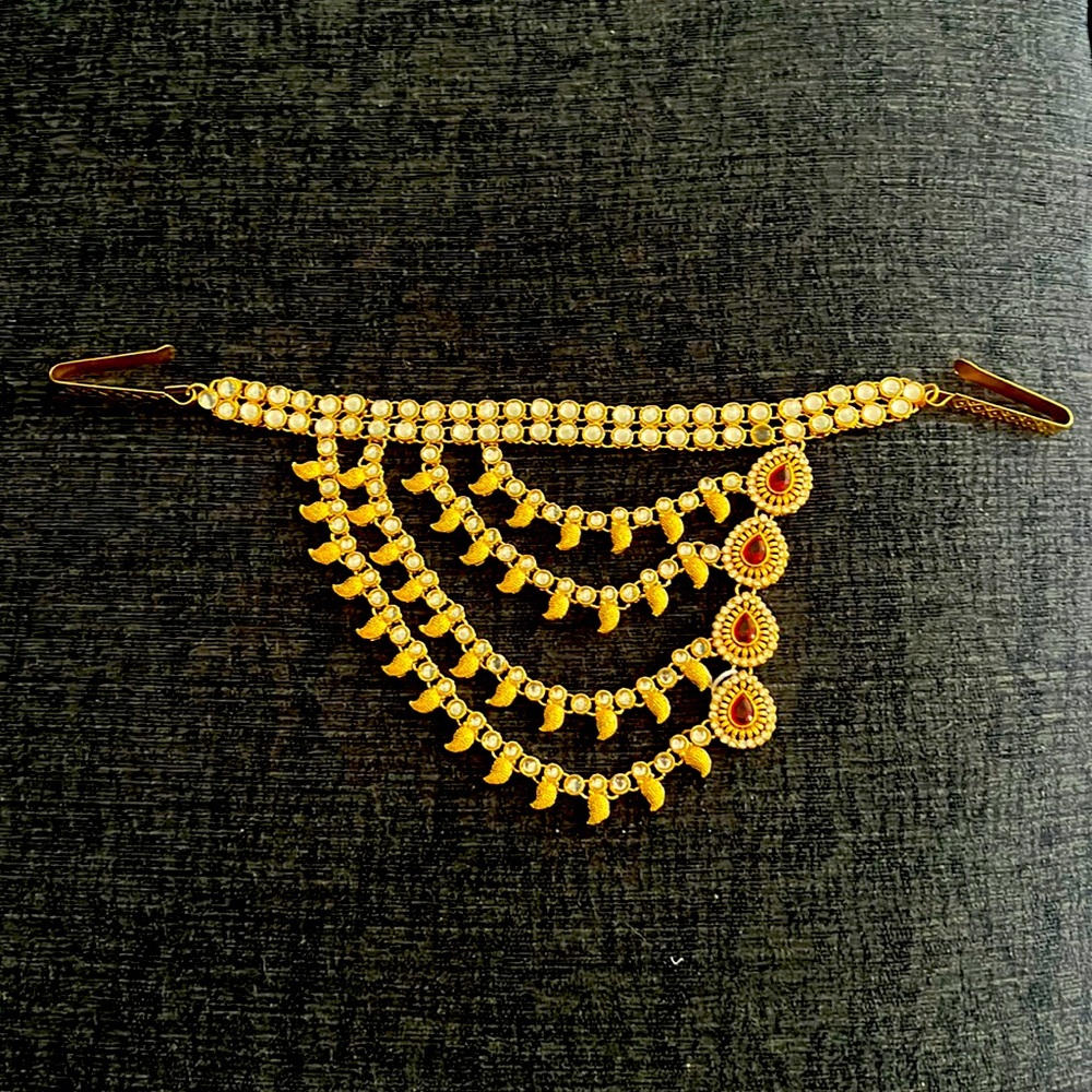 Beautiful, jeweled saree clip